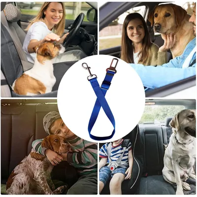 Sicherheitsgurt für Hunde im Auto, einfach zu bedienen Sicherheitsgurt für Hunde im Auto, einfach zu bedienen