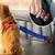 Sicherheitsgurt für Hunde im Auto, einfach zu bedienen Sicherheitsgurt für Hunde im Auto, einfach zu bedienen