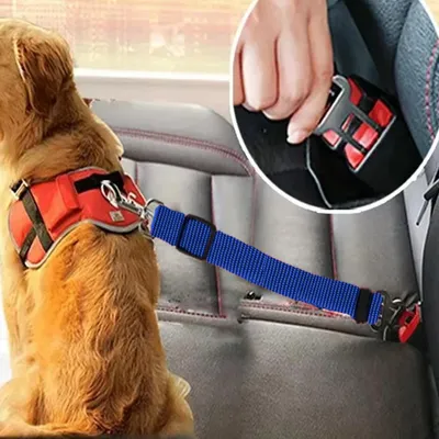 Sicherheitsgurt für Hunde im Auto, einfach zu bedienen Sicherheitsgurt für Hunde im Auto, einfach zu bedienen