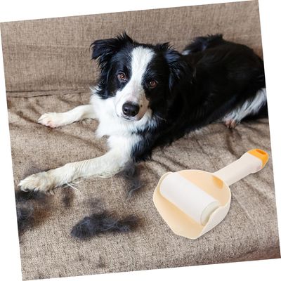 HausPets Corde dressage élastique 2-en-1 chiot
