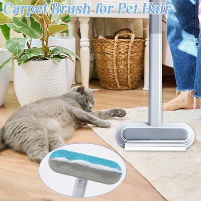 HausPets Adhésif compact anti-poils vêtements