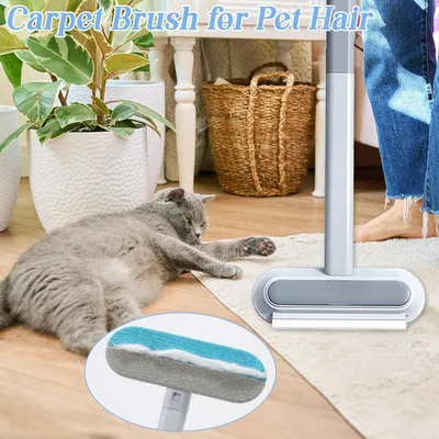 HausPets Adhesivo compacto para eliminar el pelo de la ropa HausPets Adhesivo compacto para eliminar el pelo de la ropa