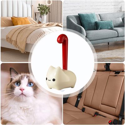 HausPets Cepillo mágico antipelusas para sofá/coche