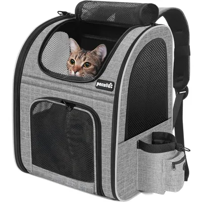 HausPets Atmungsaktiver Rucksack für Katzen und Kleine Hunde, Bequem HausPets Atmungsaktiver Rucksack für Katzen und Kleine Hunde, Bequem
