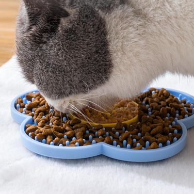 HausPets alfombra para lamer mantequilla de animal pequeño