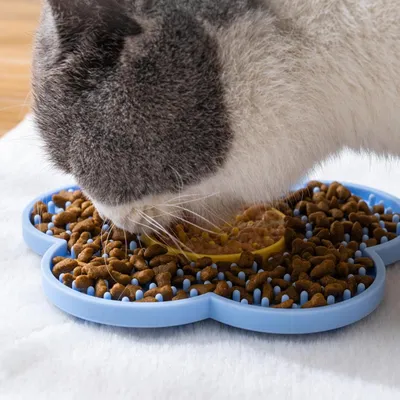 HausPets Leckmatte für Kleintiere, Butter