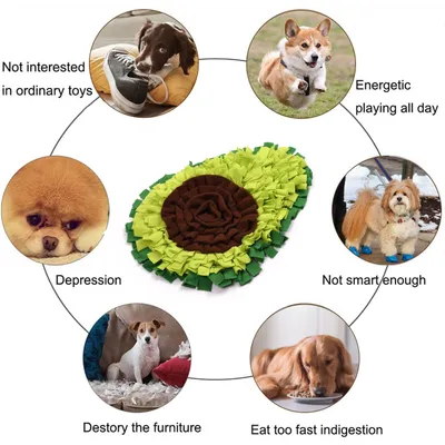 HausPets Graue Schnüffelmatte für Hunde, erzieherisch
