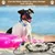 HausPets Tapis de Fouille Interactif avec Son BB pour Chien et Chat HausPets Tapis de Fouille Interactif avec Son BB pour Chien et Chat