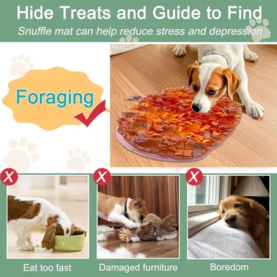 HausPets Langsamer Suchteppich zur Linderung von Langeweile bei Hunden