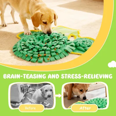 HausPets Schnüffelmatte für kleine und mittlere Hunde