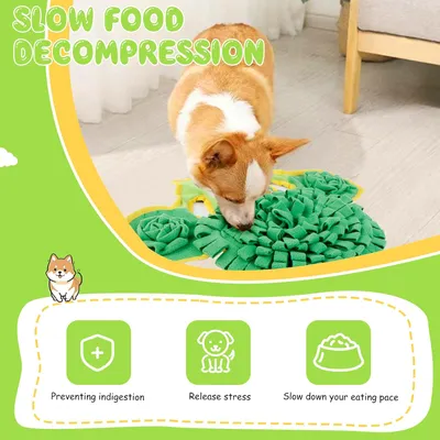HausPets Schnüffelmatte für kleine und mittlere Hunde