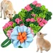 HausPets 2-in-1 Suchmatte mit Blumenmuster 45x25cm