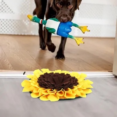 HausPets Dekorative Suchmatte aus Polyester, mittelgroß