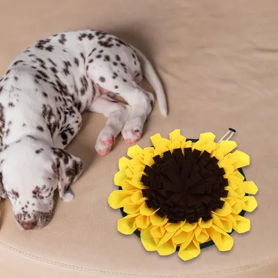 HausPets Dekorative Suchmatte aus Polyester, mittelgroß