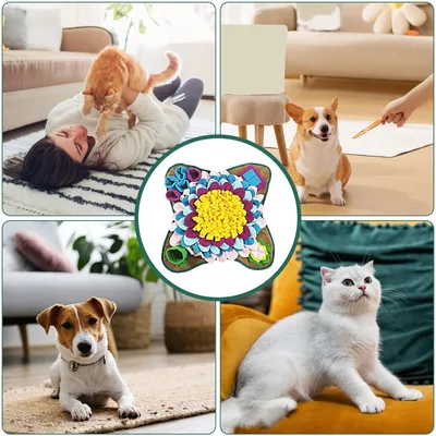 HausPets Schnüffelmatte, interaktives Futterspiel