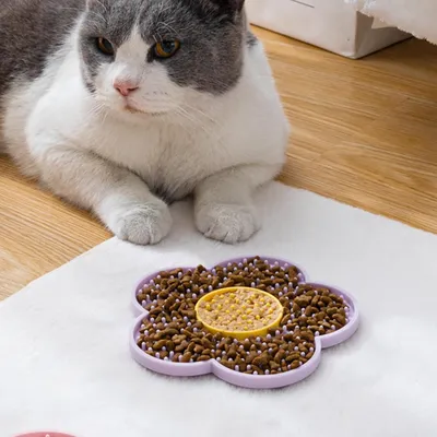 HausPets Leckmatte mit Saugnäpfen für Katzen/Hunde
