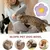 HausPets Leckmatte mit Saugnäpfen für Katzen/Hunde