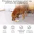 HausPets Lot de 2 Tapis de Léchage Silicone avec Ventouses pour Chien HausPets Lot de 2 Tapis de Léchage Silicone avec Ventouses pour Chien