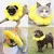 HausPets Collier Anti-Léchage Tournesol M 14-22cm Doux Réglable HausPets Collier Anti-Léchage Tournesol M 14-22cm Doux Réglable