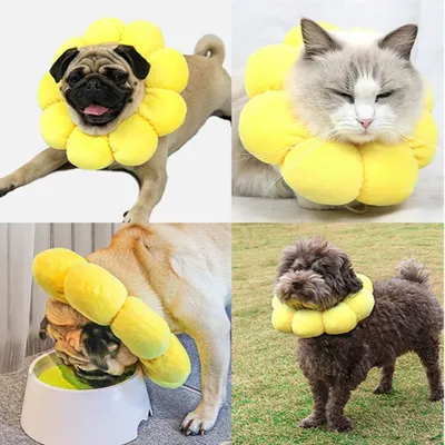 HausPets Collier Anti-Léchage Tournesol M 14-22cm Doux Réglable HausPets Collier Anti-Léchage Tournesol M 14-22cm Doux Réglable