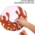 HausPets anti-lechage chat chien S jusqu'a 3kg doux confortable look espace HausPets anti-lechage chat chien S jusqu'a 3kg doux confortable look espace