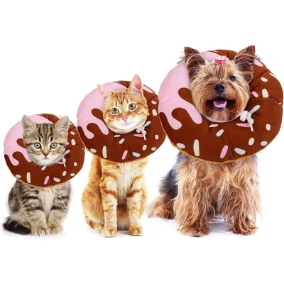 HausPets anti-lechage chat chien S jusqu'a 3kg doux confortable look espace HausPets anti-lechage chat chien S jusqu'a 3kg doux confortable look espace