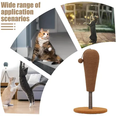 Kitten Scratching Post sisal, balle suspendue, anti-stress Kitten Scratching Post sisal, balle suspendue, anti-stress