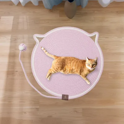 HausPets Rundes Kratzpad für Katzen mit Interaktivem Ball