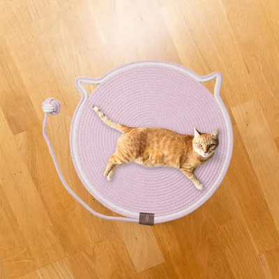 HausPets Rundes Kratzpad für Katzen mit Interaktivem Ball