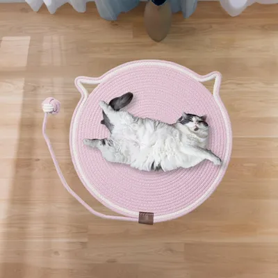 HausPets Rundes Kratzpad für Katzen mit Interaktivem Ball