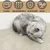 HausPets Alfombrilla rascadora autoadhesiva gatos, color beige, muebles HausPets Alfombrilla rascadora autoadhesiva gatos, color beige, muebles