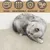 HausPets Selbstklebende Kratzmatte für Katzen DIY, Möbelschutz Beige