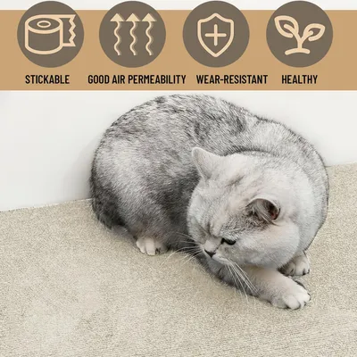 HausPets Selbstklebende Kratzmatte für Katzen DIY, Möbelschutz Beige