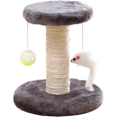 Avec griffoir et jouet pour chatons, gris Avec griffoir et jouet pour chatons, gris