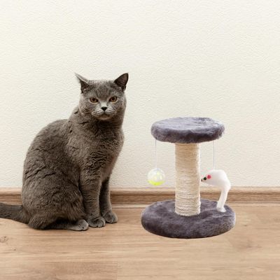 Avec griffoir et jouet pour chatons, gris