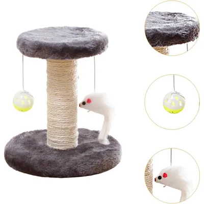 Avec griffoir et jouet pour chatons, gris Avec griffoir et jouet pour chatons, gris
