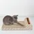 Intirilife planche gratter chat carton ondulé 45,5x24,5x10,5 cm Intirilife planche gratter chat carton ondulé 45,5x24,5x10,5 cm