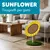 Griffoir tournesol 50 cm avec niche, jaune Griffoir tournesol 50 cm avec niche, jaune
