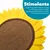 Griffoir tournesol 50 cm avec niche, jaune Griffoir tournesol 50 cm avec niche, jaune