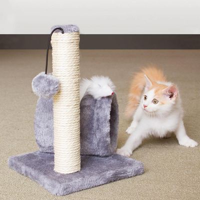 Petit chat escalade sisal, colonne amusante, griffoir, gris