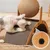 HausPets Boule à Griffer Verticale pour Chat HausPets Boule à Griffer Verticale pour Chat