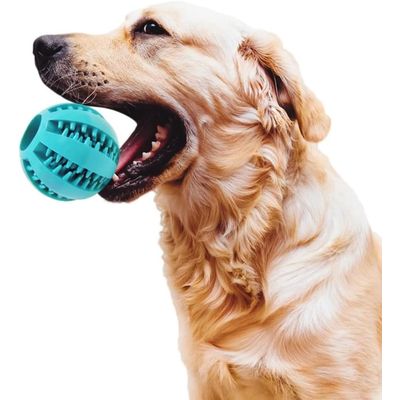 HausPets Lot de 2 Balles Dentaires en Caoutchouc Naturel pour Chien