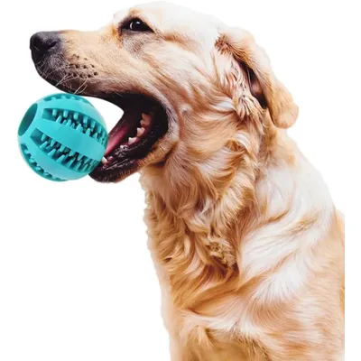 HausPets 2er Set Natürliche Gummibälle für Hundezahnpflege & Spiel