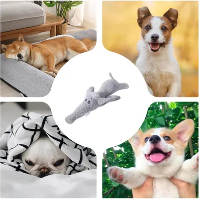 HausPets Jouet Peluche Chien Résistant avec Bruit et Froissement HausPets Jouet Peluche Chien Résistant avec Bruit et Froissement