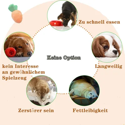 HausPets Schnüffelmatte für Hunde in Karottenform