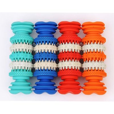 Jouet à mâcher caoutchouc non toxique - Nettoyage dents chien