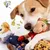 HausPets Hunde Bestseller Quitschspielzeug, Maskottchen, Adler/CLUTCH