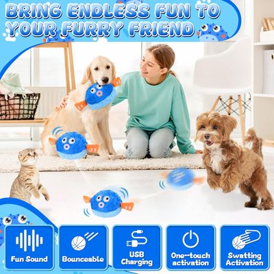 HausPets Balle Électrique Interactive pour Chien