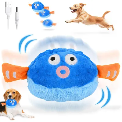 HausPets Balle Électrique Interactive pour Chien