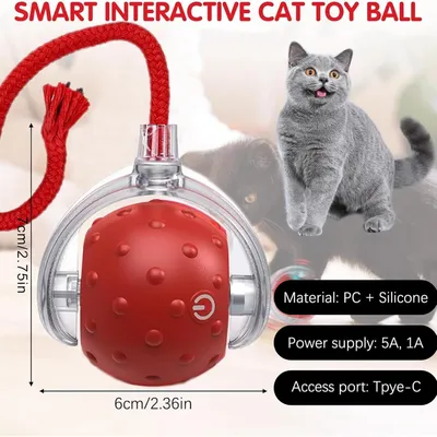 HausPets Intelligenter LED-Spielball Wiederaufladbar für Hund & Katze